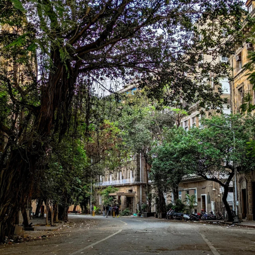 BALLARD ESTATE - Image 4
